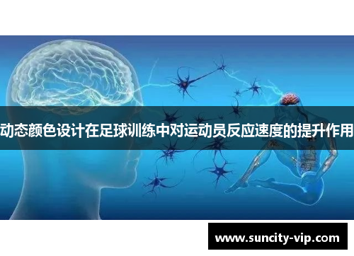 动态颜色设计在足球训练中对运动员反应速度的提升作用
